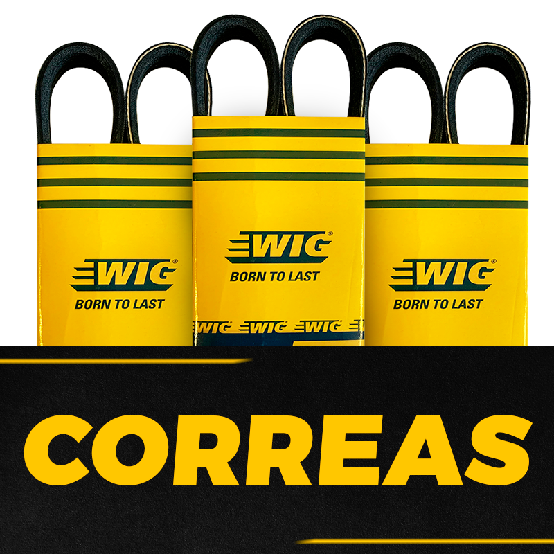correas Correa Alternador Autana / Machito / Burbuja 4.5