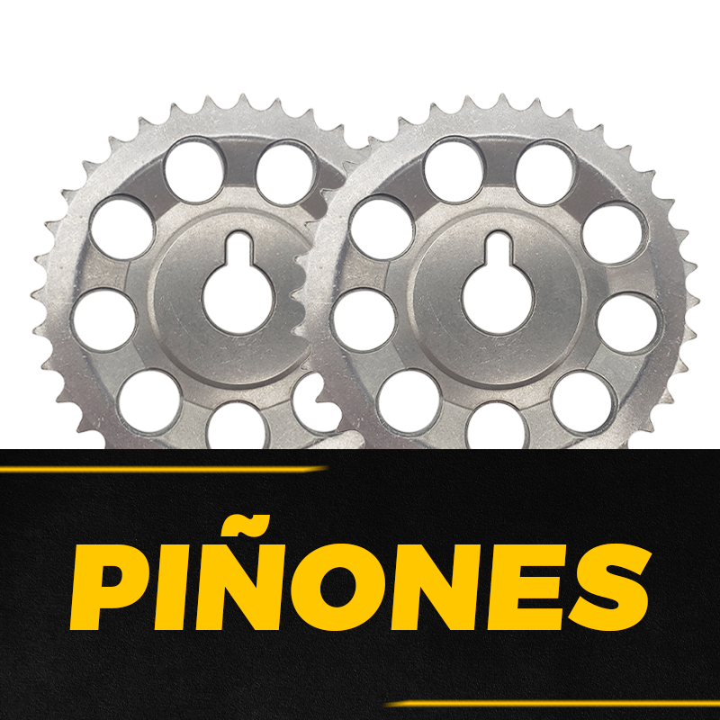 piñones Piñon Arbol de Leva Corolla 2003-2014